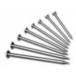 Clavo Estándar  Con Cabeza